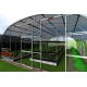 Теплица из поликарбоната Простор 2Д 5х4 м