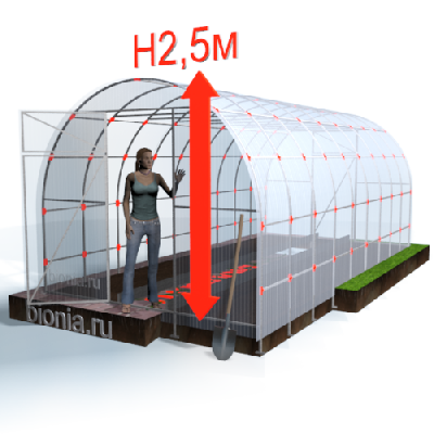 Теплица из поликарбоната Светлая 3х6 м (шаг дуг 0,65м)