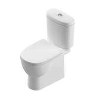 Унитаз-компакт "Art" SL DM (а/вспл, гор, ниж, 2кн.Geberit, дюро м/лифт,clip up) (Sanita Luxe)