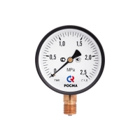 Манометр 63х1/4 6 бар ТМ-310Р (нижнее радиальное подкл., корпус сталь, минстекло) РОСМА